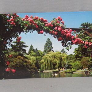 Vintage Postcard - Beacon Hill Park Landscape - Wright Everytime